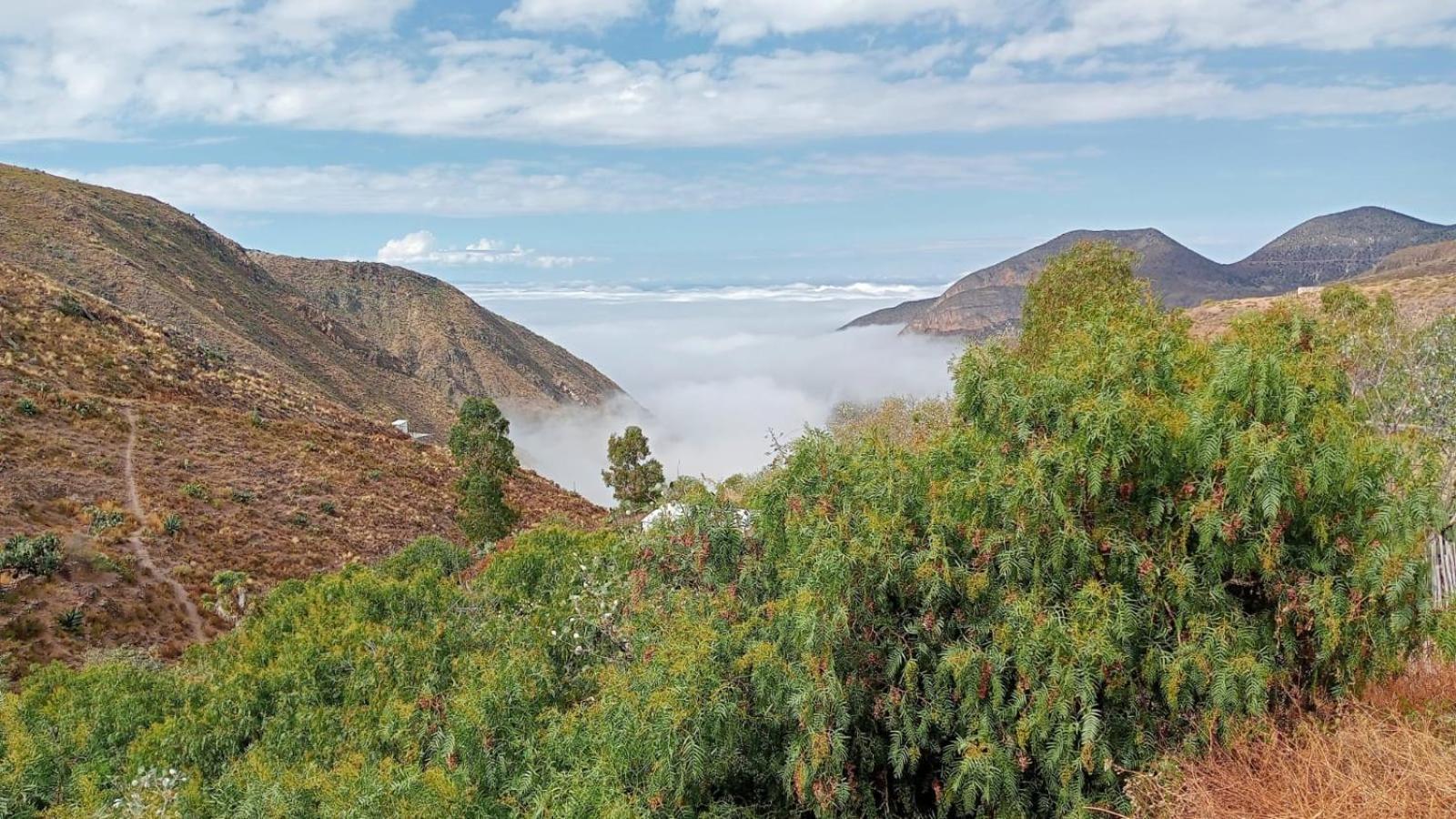 منزل الضيف Catorce  في Ventana Al Desierto المظهر الخارجي الصورة
